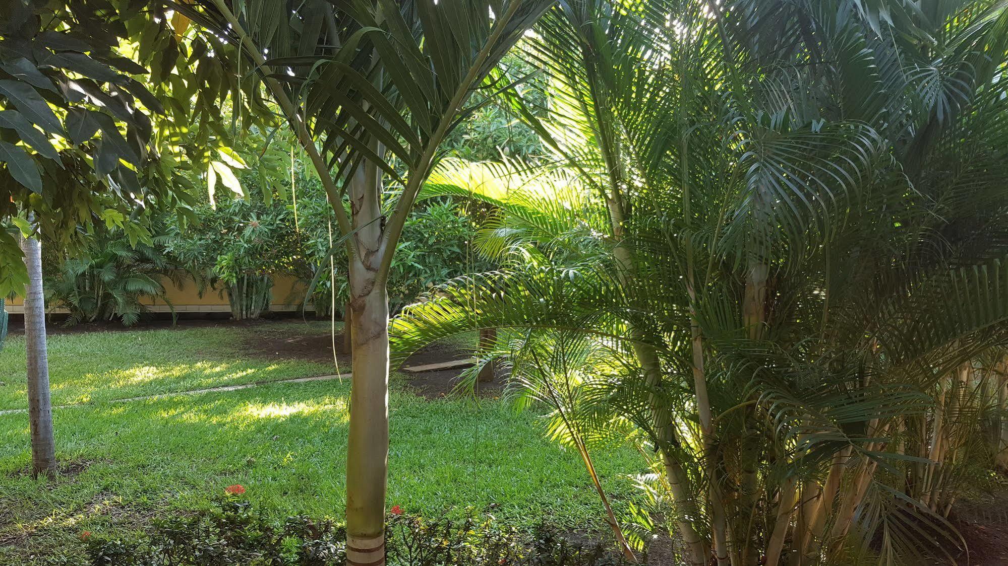 Hotel La Arboleda Managua Esterno foto