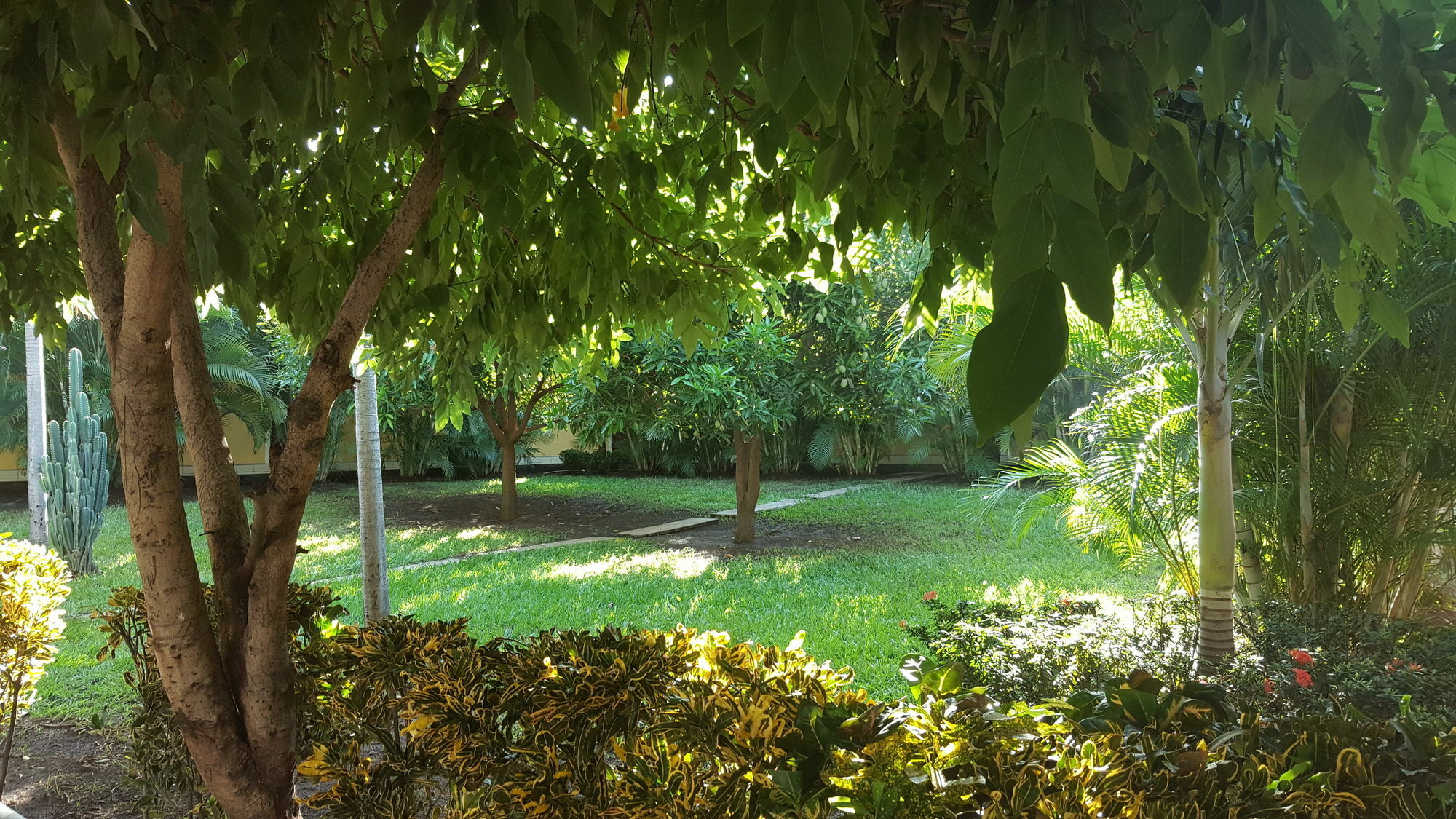 Hotel La Arboleda Managua Esterno foto
